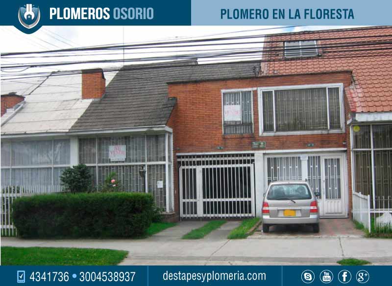 detección de fugas en Floresta