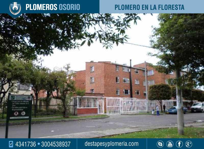 detección de fugas en Floresta