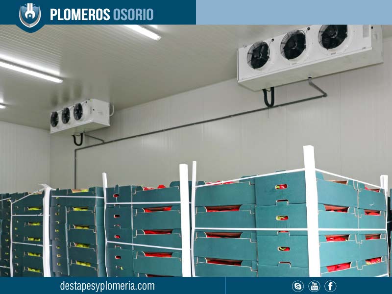 cuartos frios bogotá