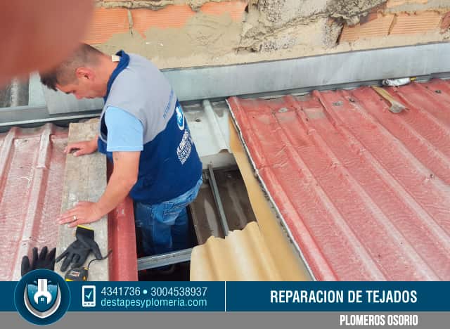 reparación de tejas